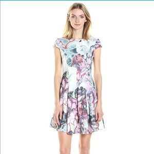 Ted Baker Mah Illuminated Bloom Floral Size 4 US12